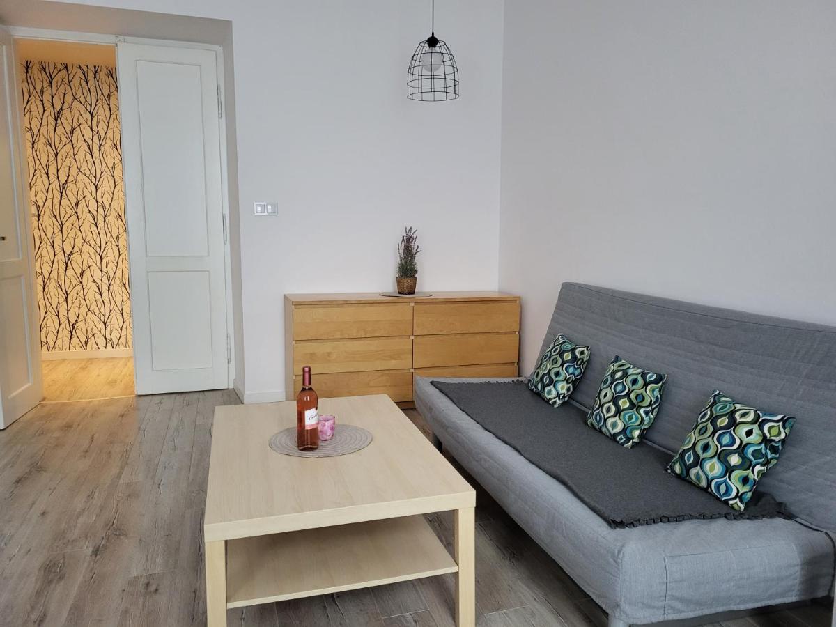 Apartament Vistula Krakow Bagian luar foto